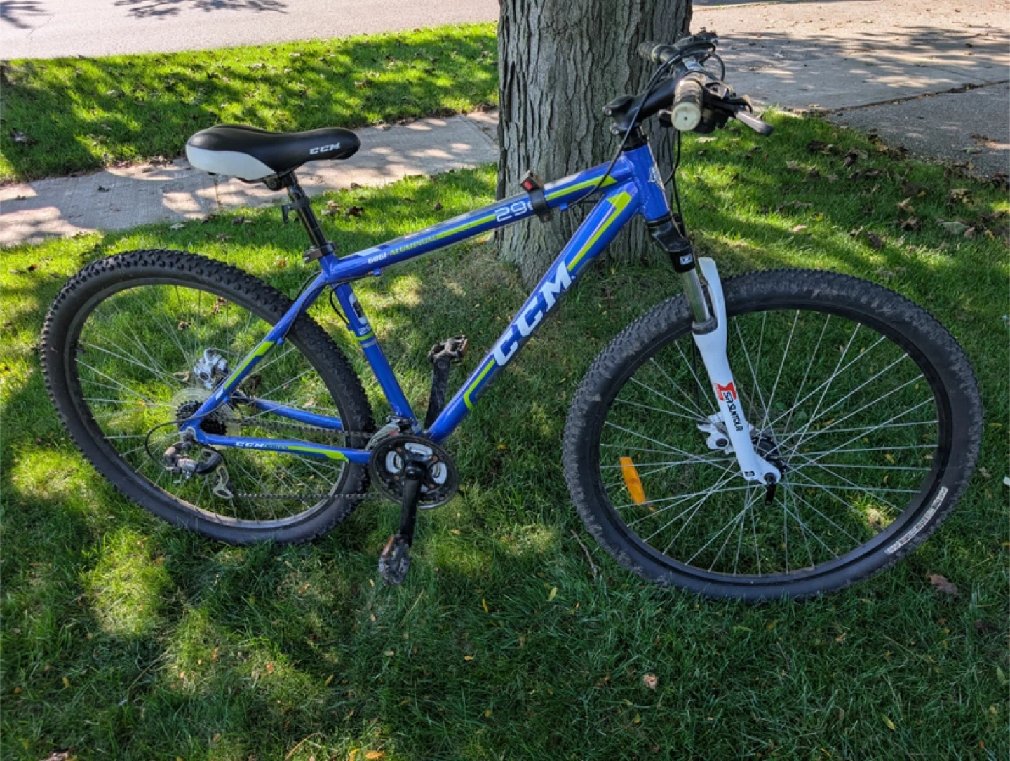 CCM 29er Mountain Bike - Blue