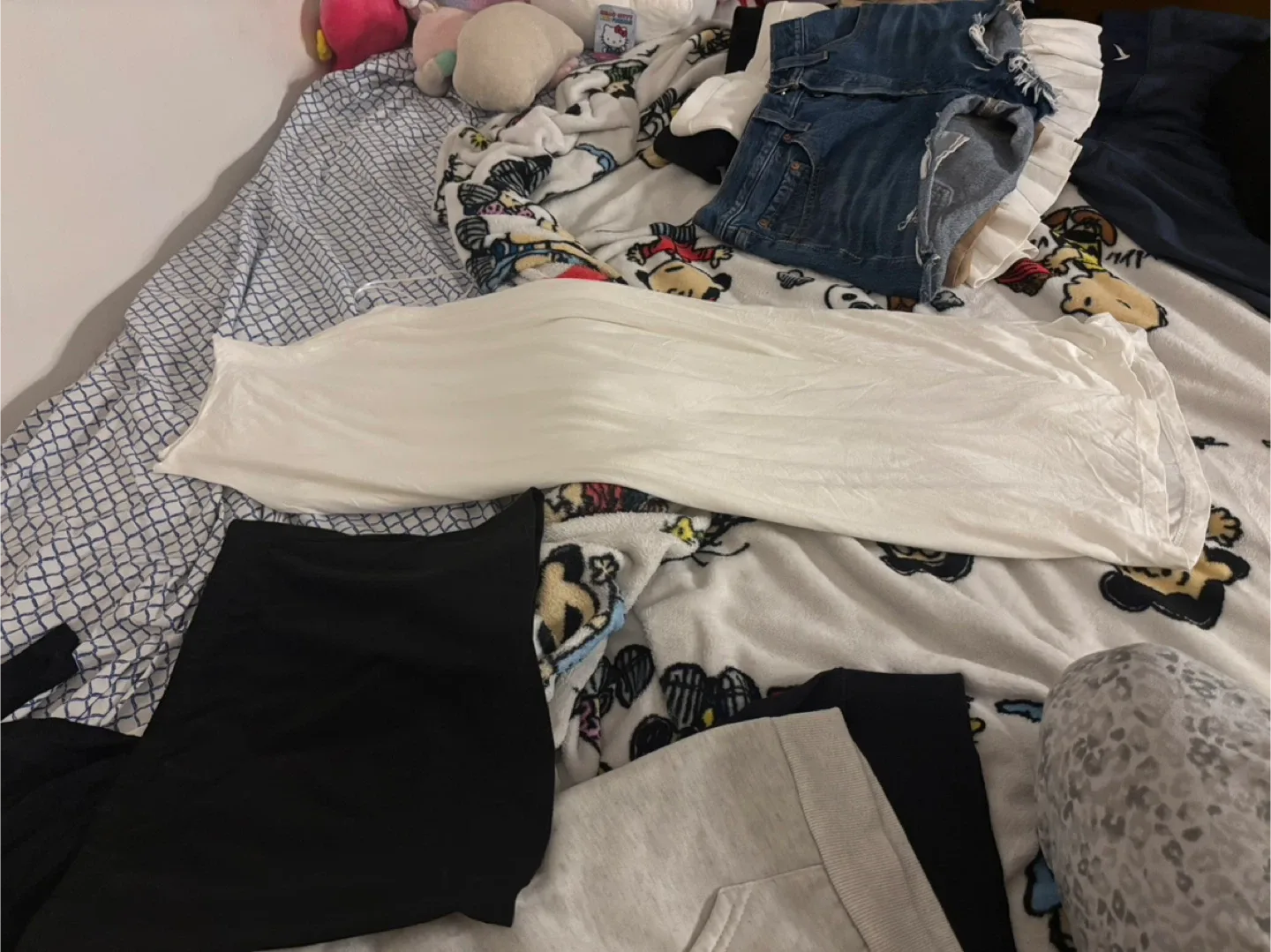 Bag of clothing image indicator(2)