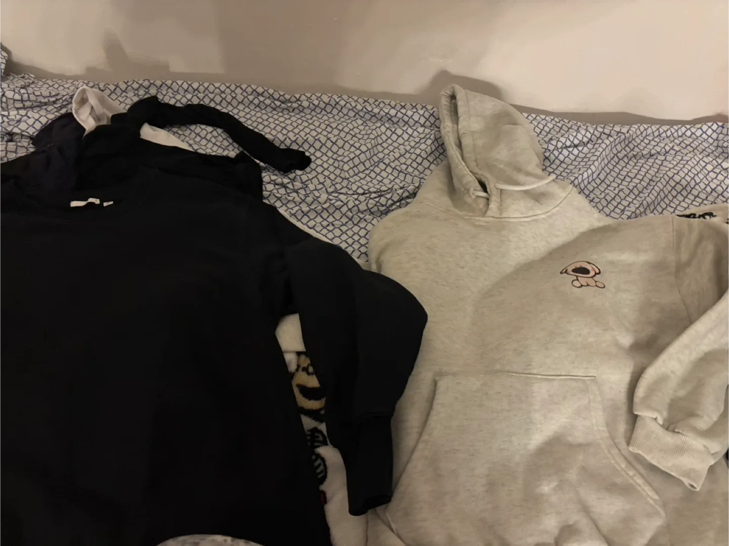 Bag of clothing image indicator(3)