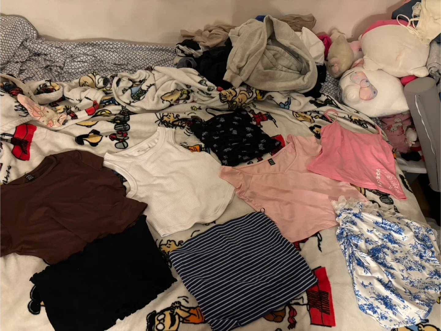 Bag of clothing image indicator(6)