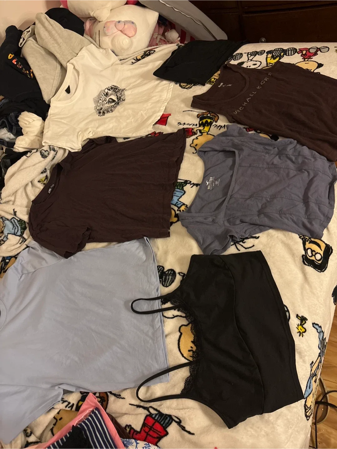 Bag of clothing image indicator(7)