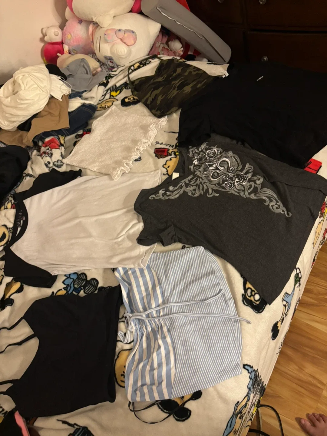 Bag of clothing image indicator(8)