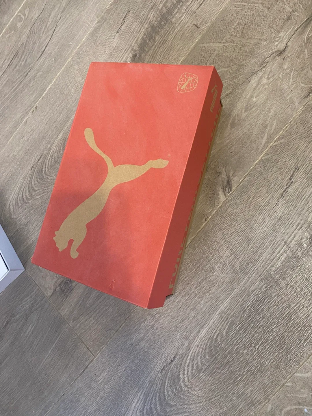 Puma Shoes - Cream/Purple, with Box image indicator(4)