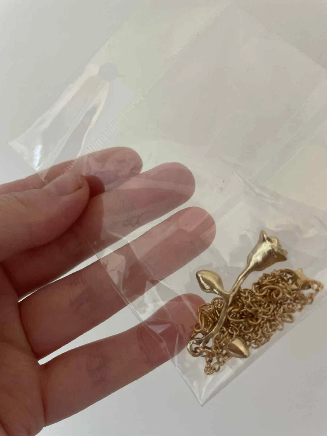 Rose necklace on chain image indicator(3)