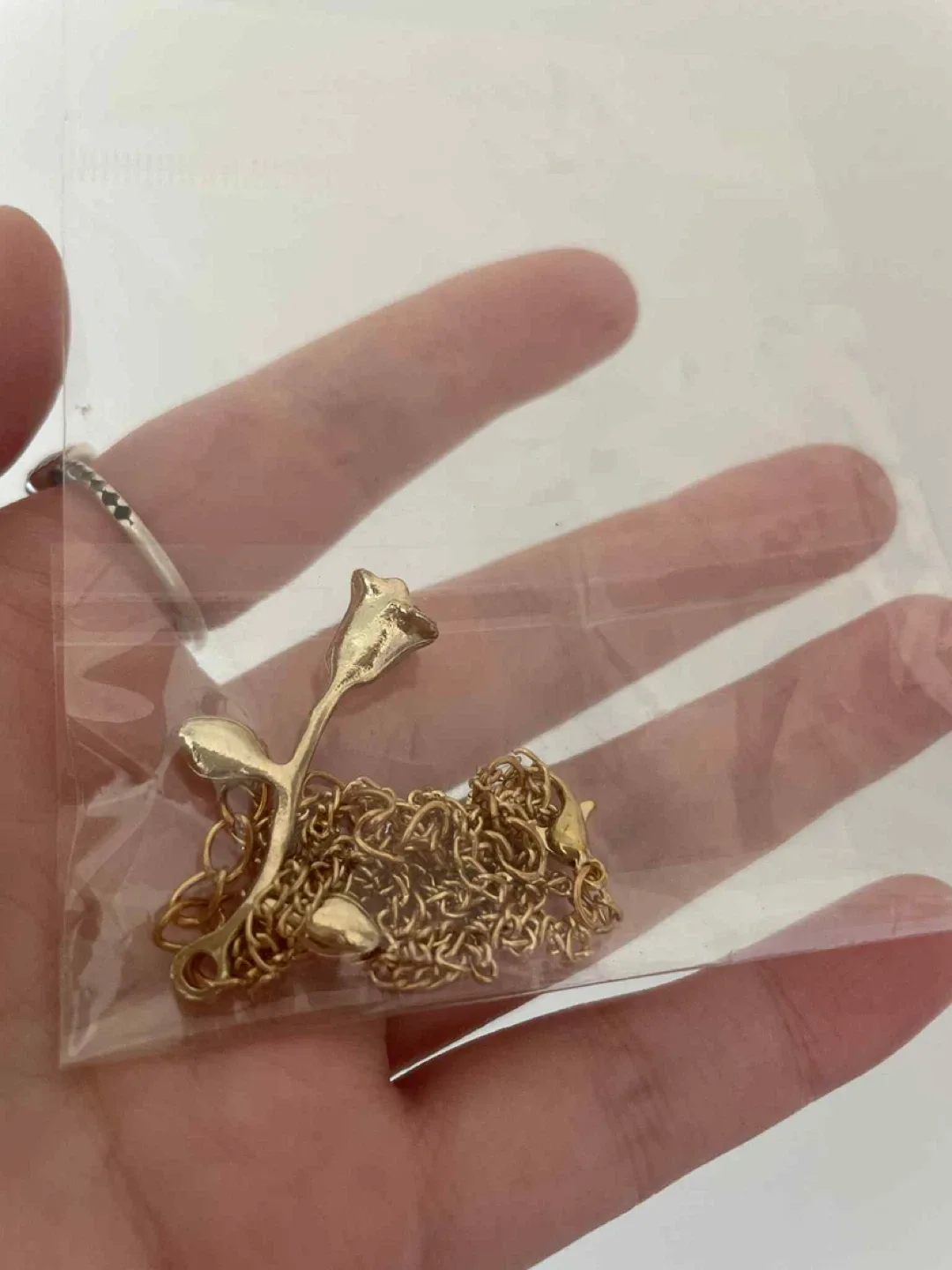 Rose necklace on chain image indicator(2)