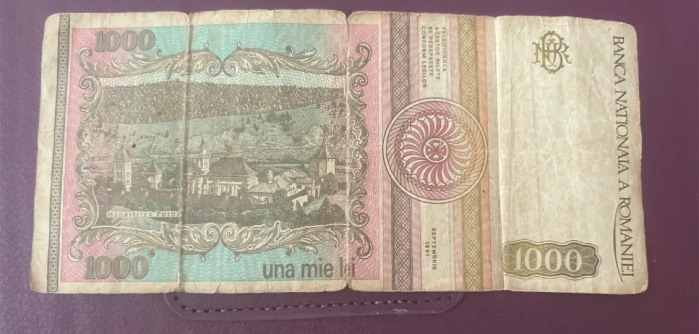 Romania 1000 Lei Banknote 1991 thumbnail