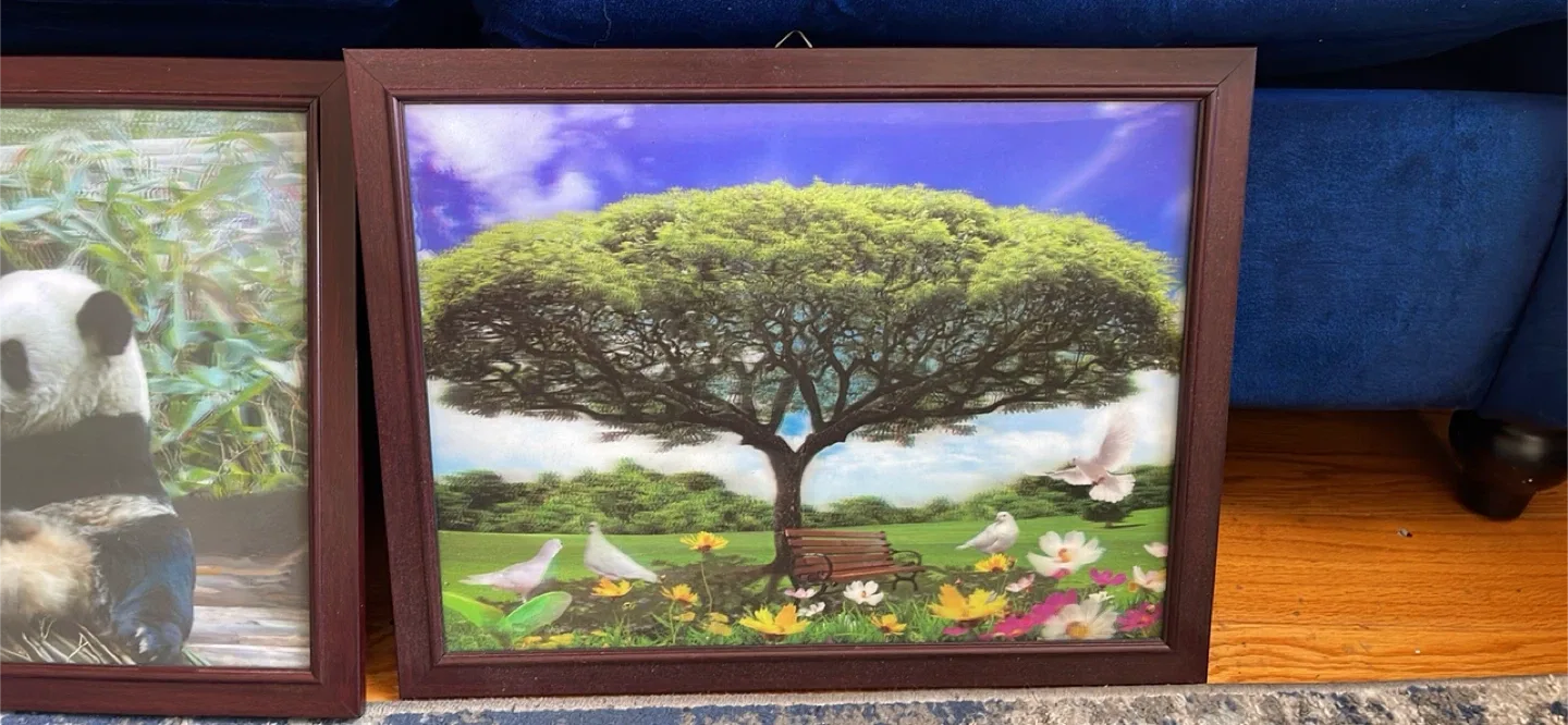 Framed Panda and Tree Pictures thumbnail