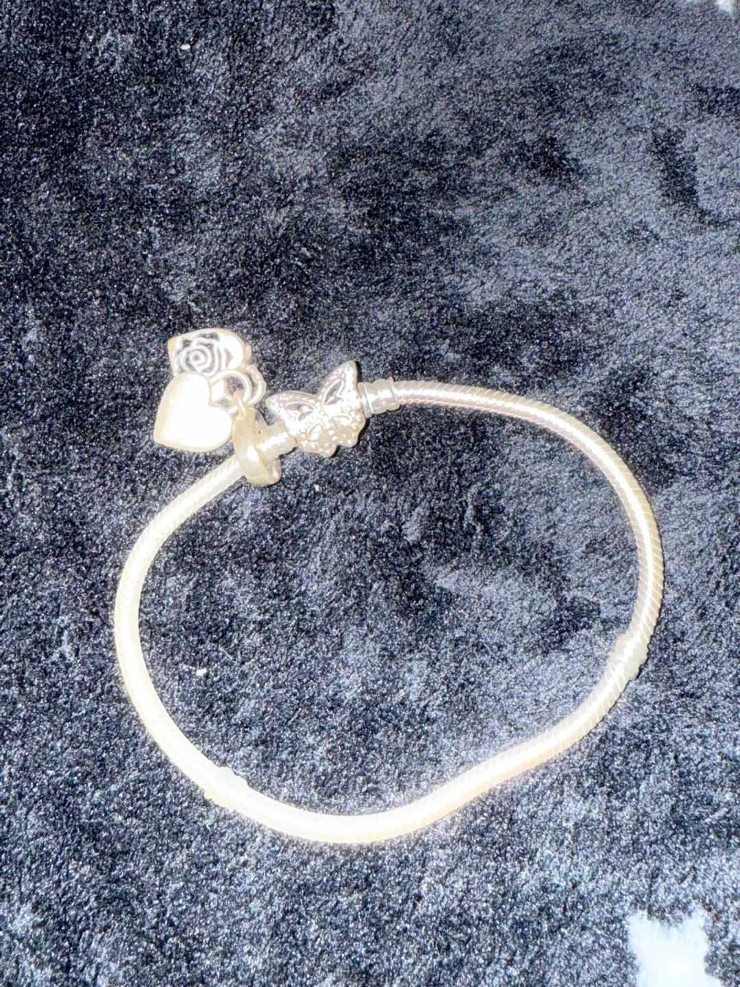 Pandora Charm Bracelet with Charms image indicator(4)