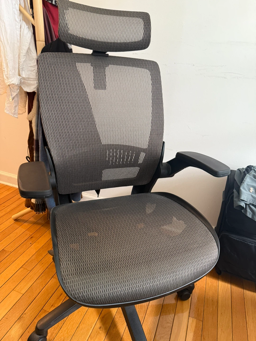 Amazing Basics Ergonomic Chair