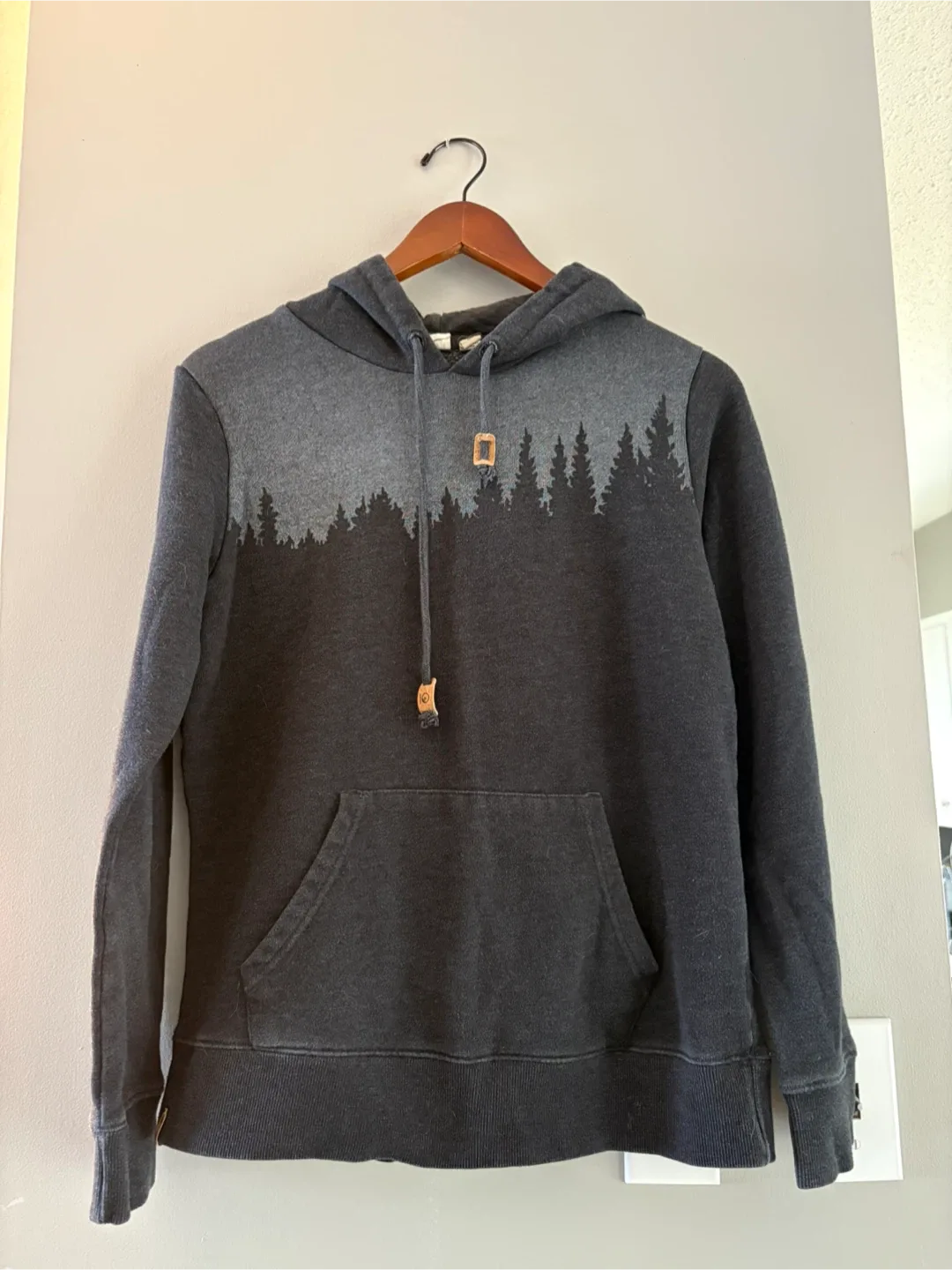 Tentree Hoodie - Size M thumbnail