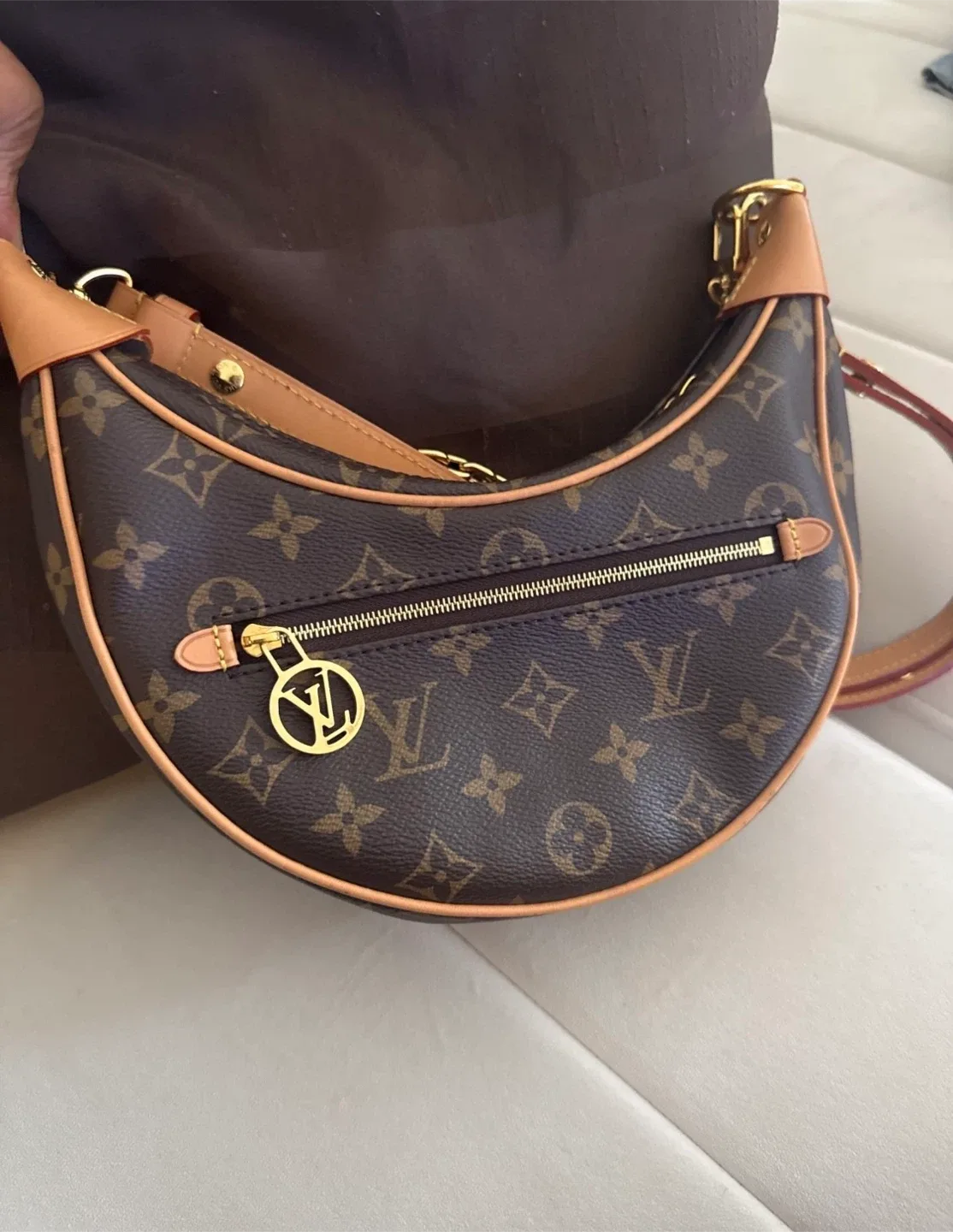 Louis Vuitton Loop Hobo Bag image indicator(2)