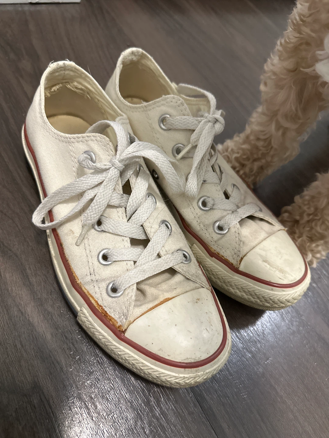 Converse All Star Low Top Shoes