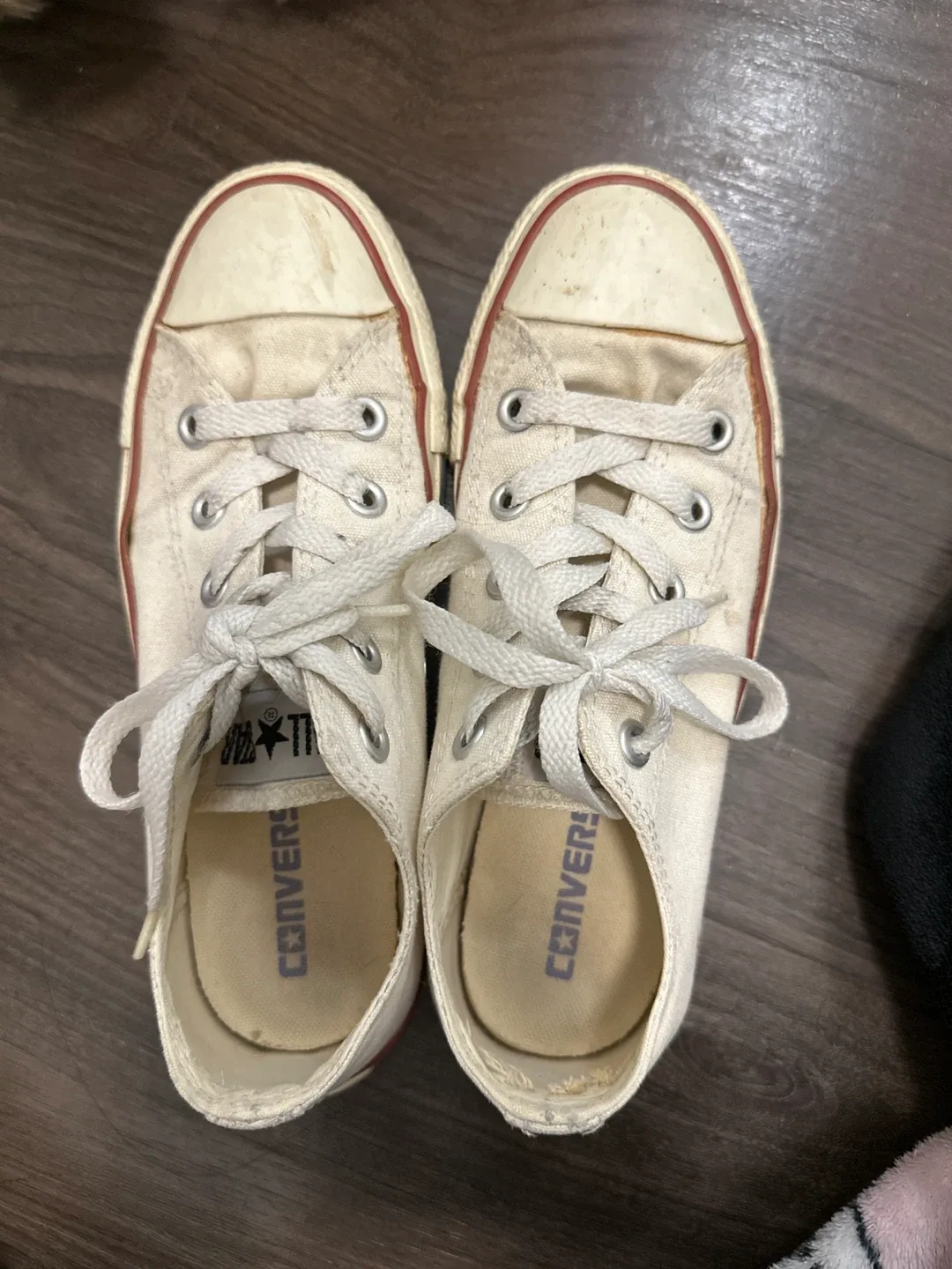 Converse All Star Low Top Shoes image indicator(2)