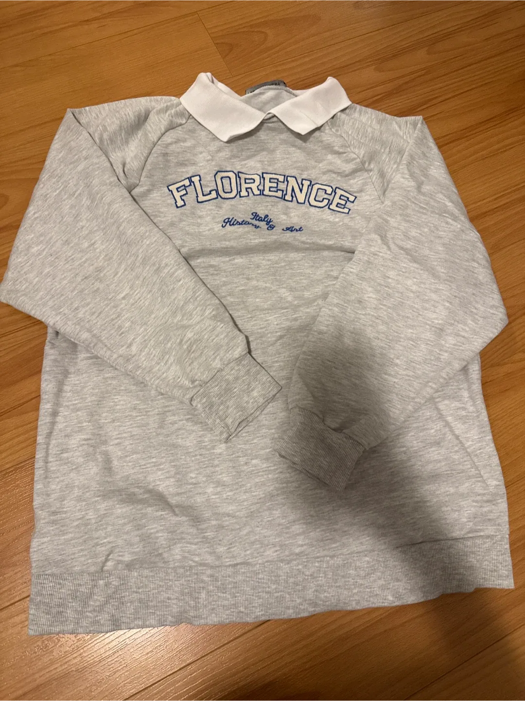Florence Italy History & Art Grey Sweatshirt thumbnail