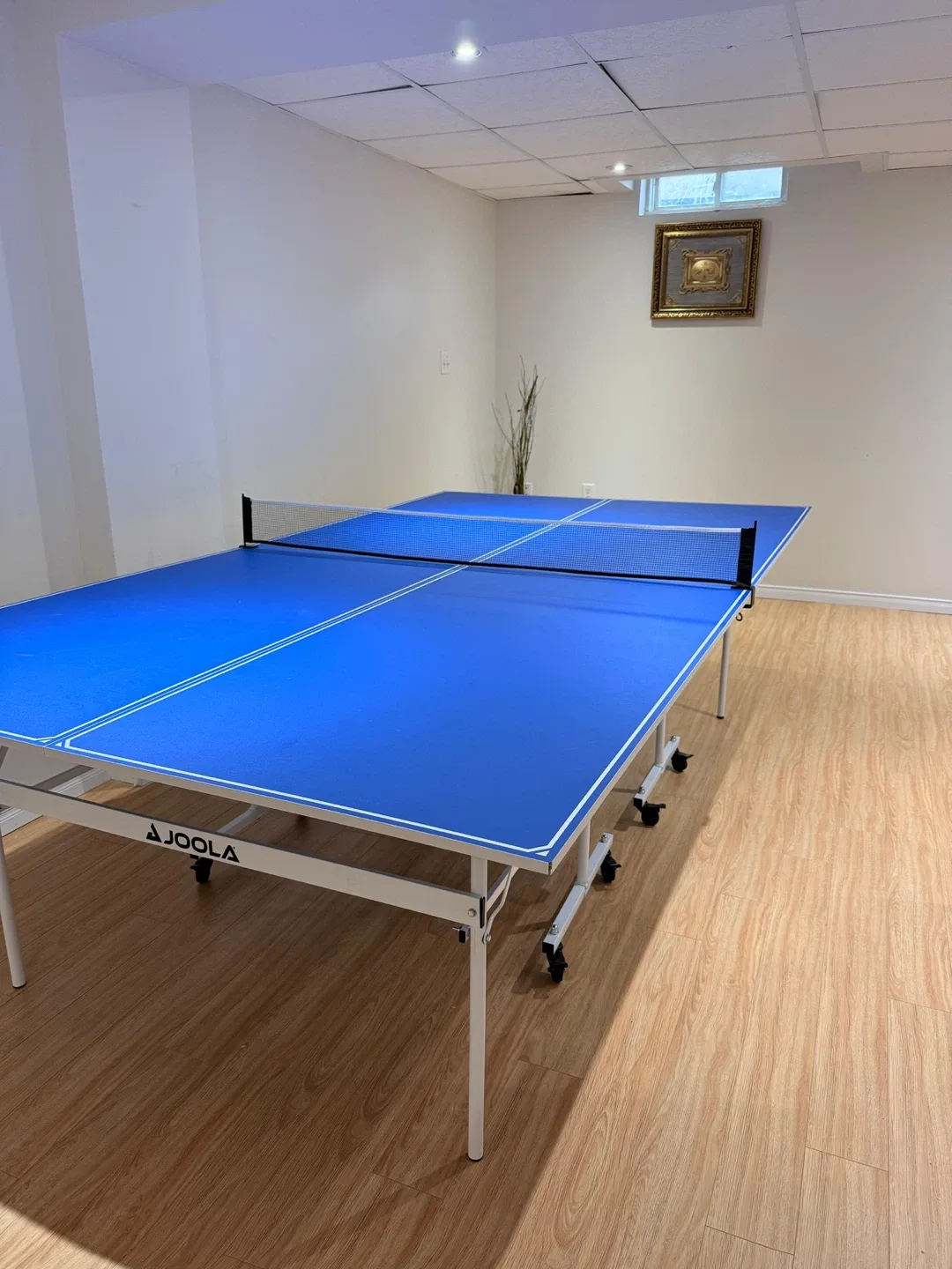 JOOLA Blue Ping Pong Table image indicator(4)