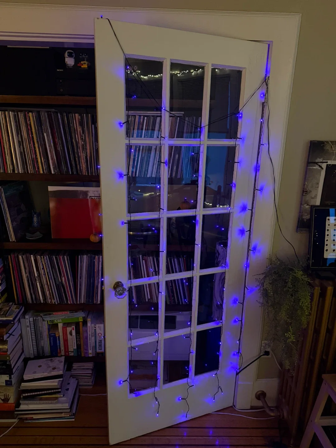 Purple string lights battery powered