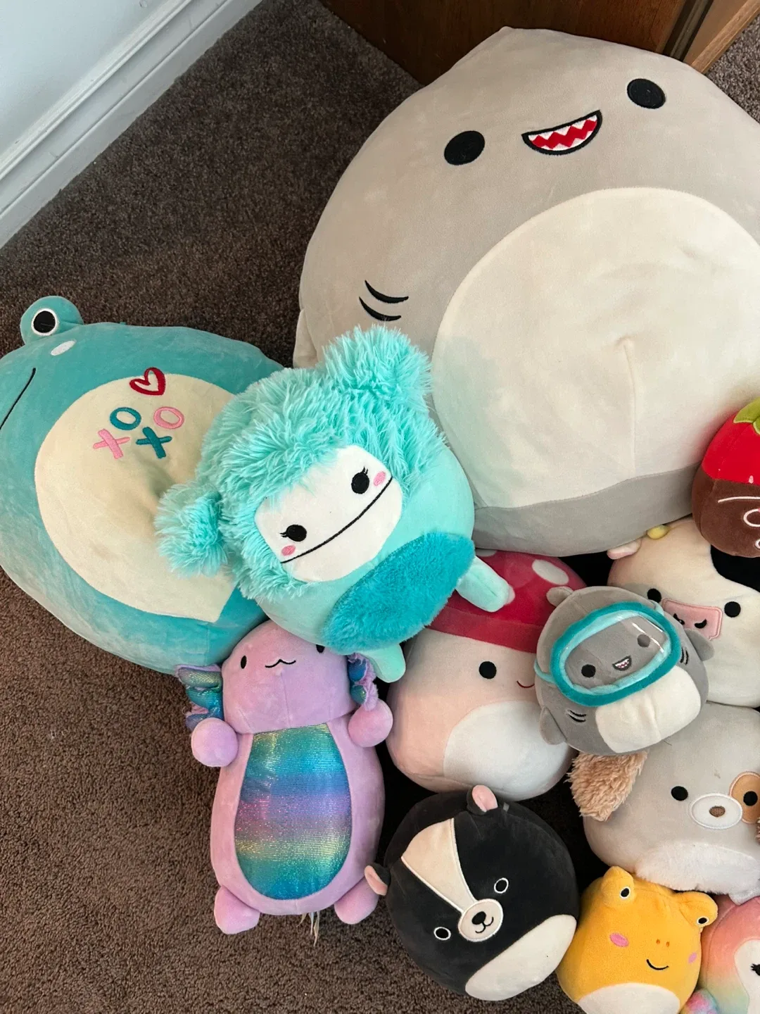 SO MANY Squishmallows Plush Collection- need gone asap image indicator(4)