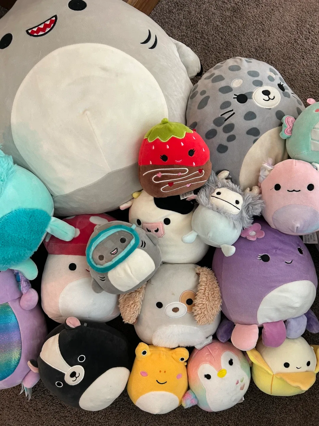 SO MANY Squishmallows Plush Collection- need gone asap image indicator(3)