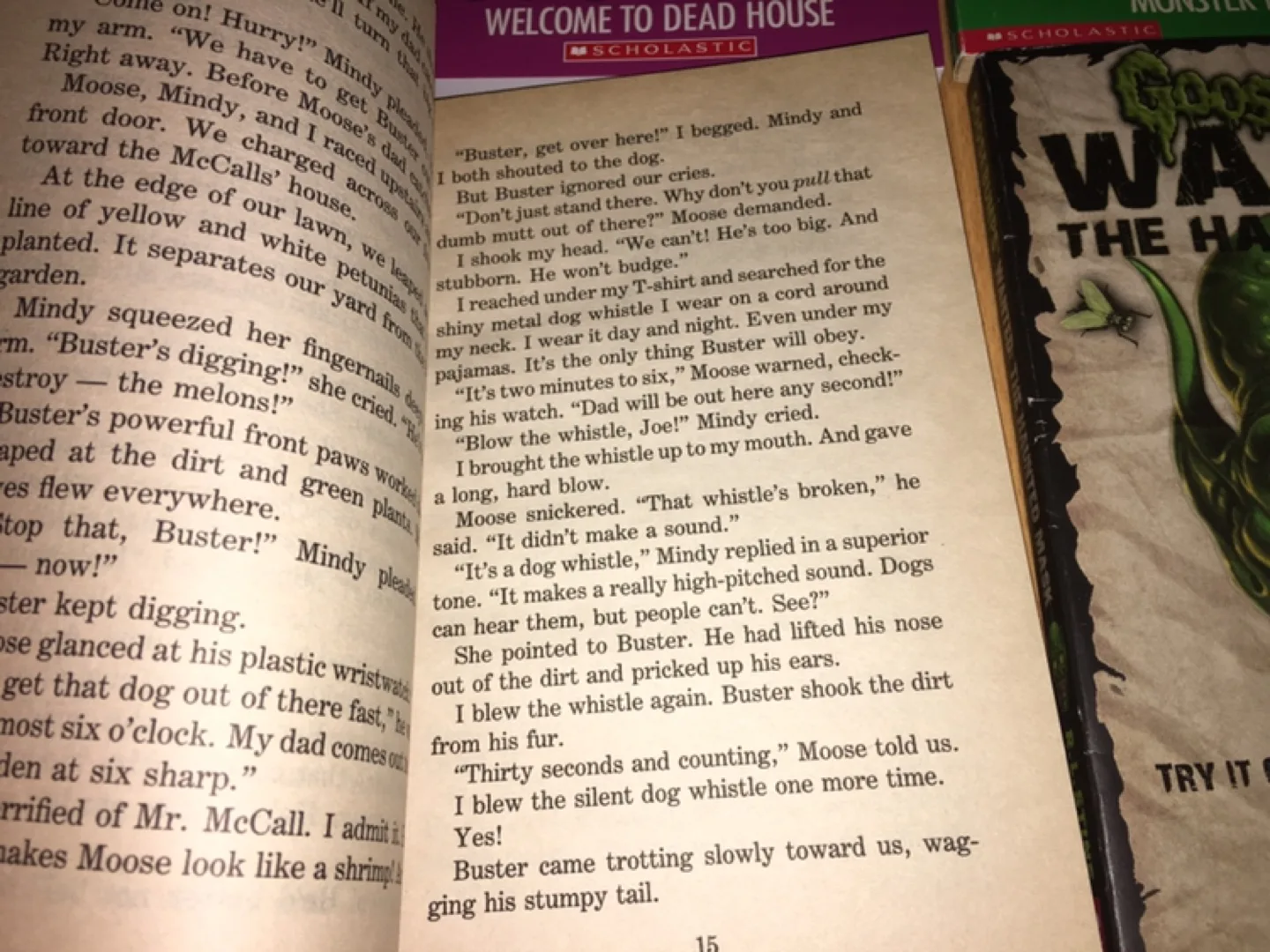 ($3 each) Goosebumps Paperback Books - R.L. Stine Series image indicator(5)