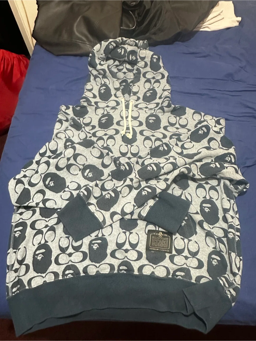 Coach x BAPE Hoodie thumbnail