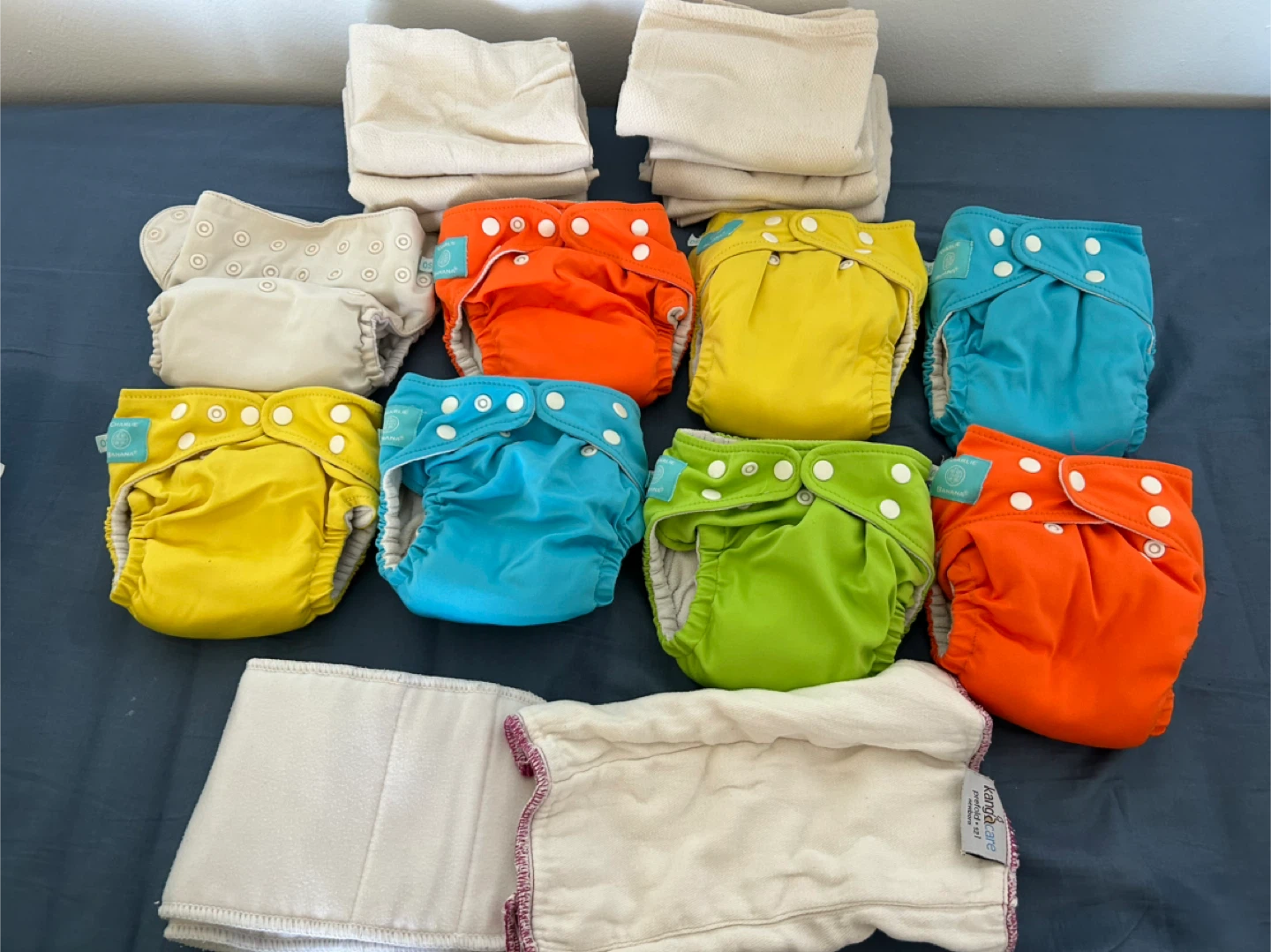 Lot of Charlie banana Cloth Diapers with Snappies and Inserts