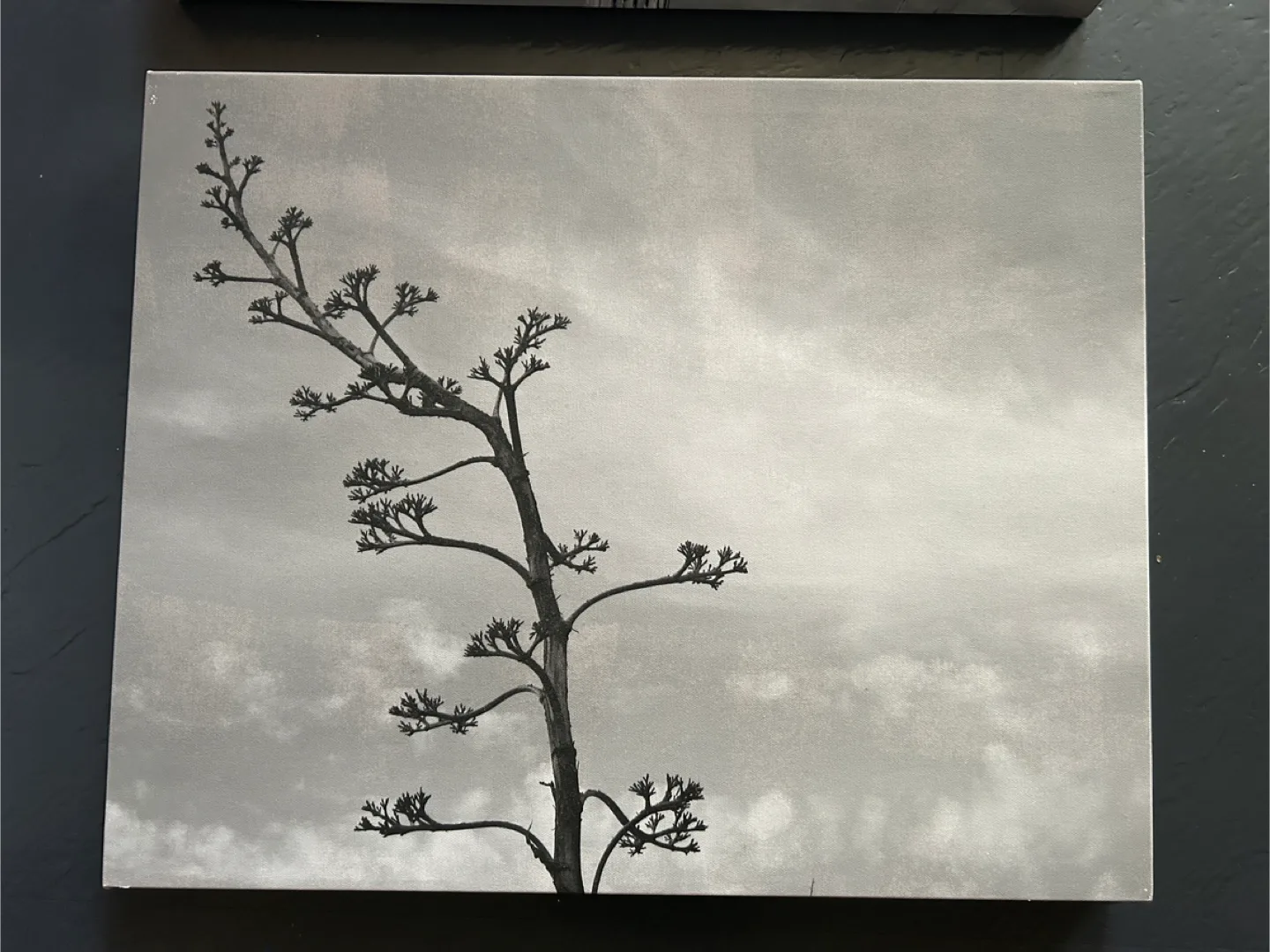 Original B&W Photo Canvas Wall Art thumbnail