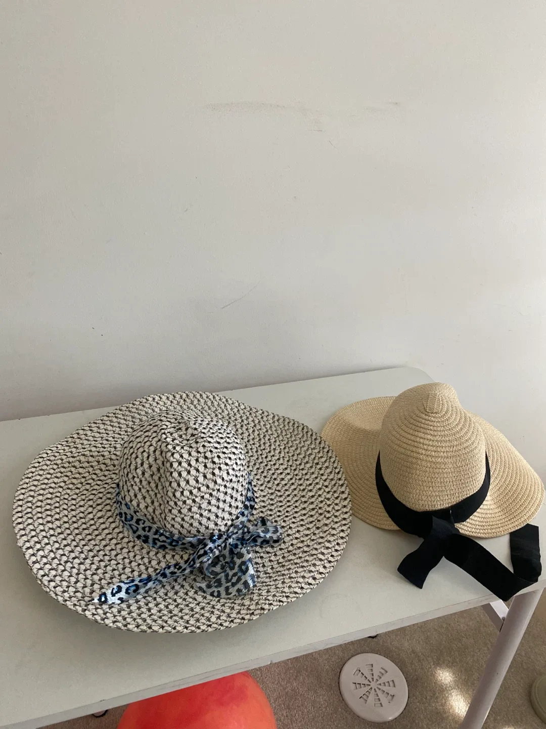Two Sun Hats thumbnail
