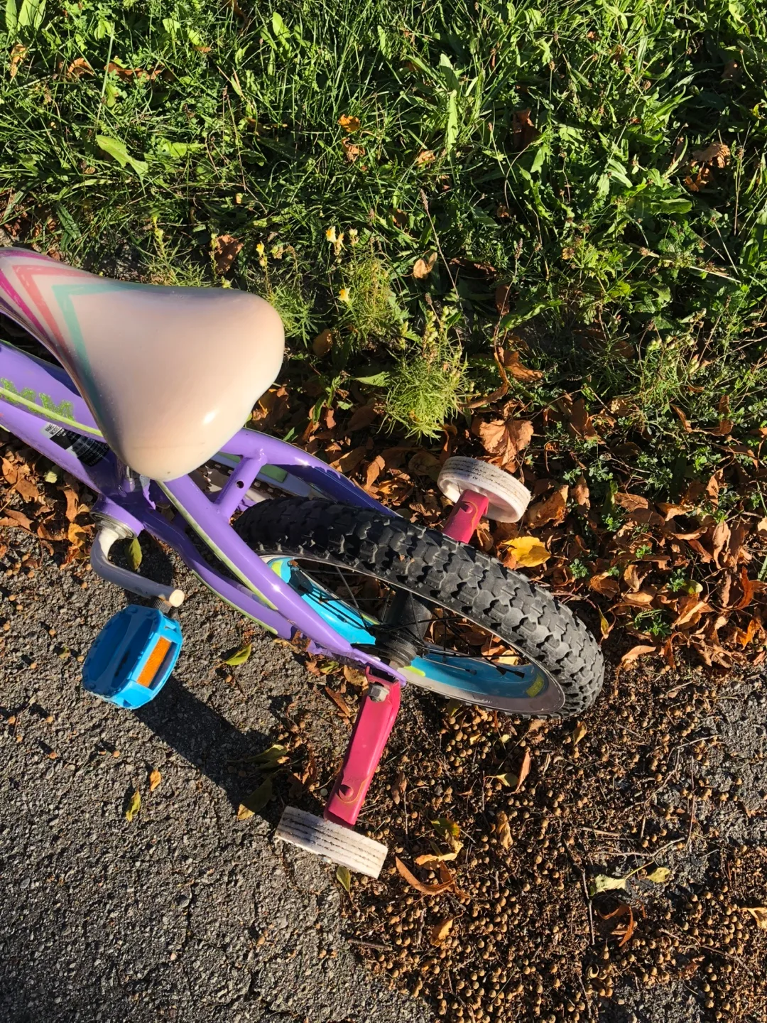 Little miss marched bicycles image indicator(4)