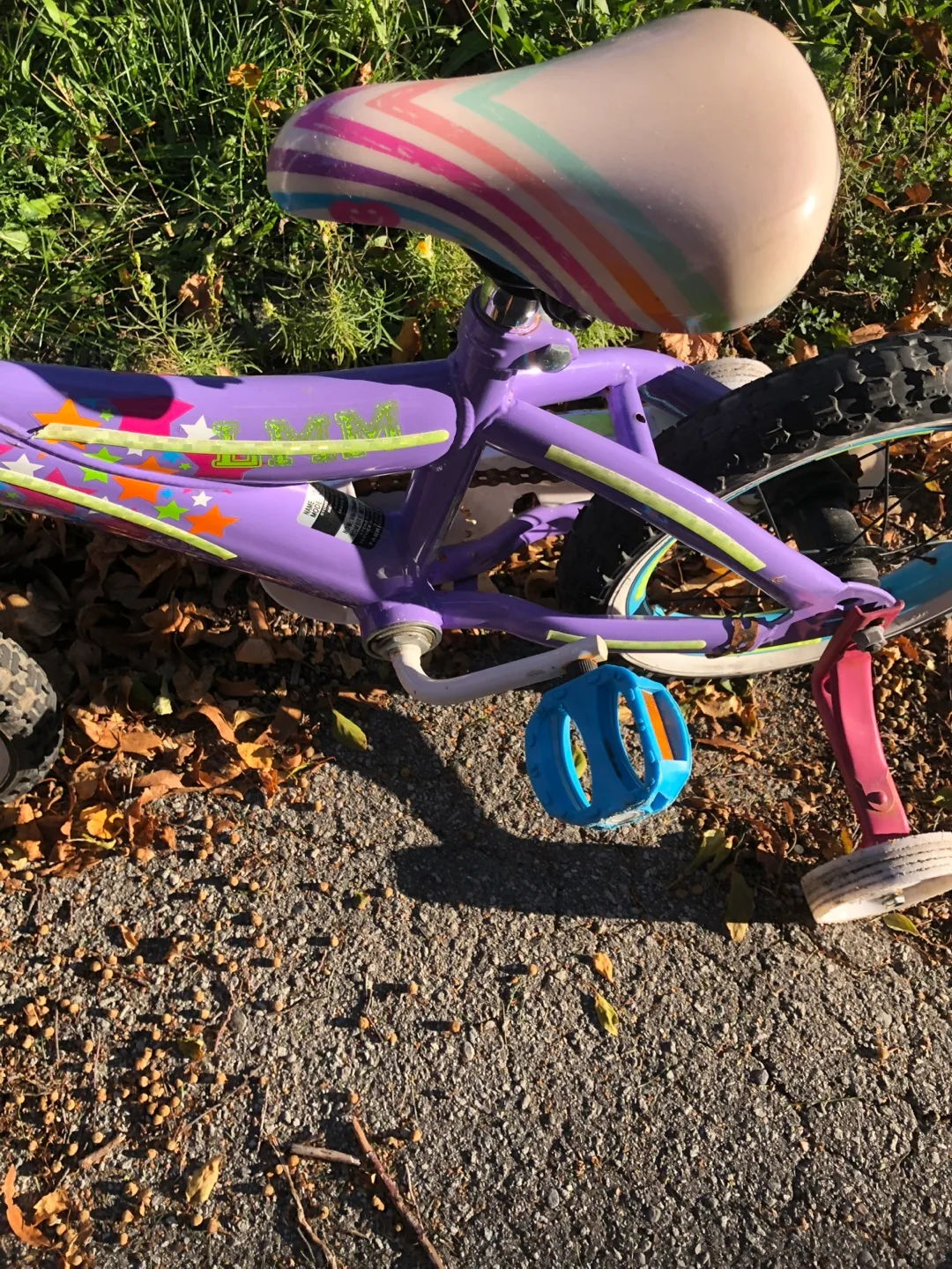 Little miss marched bicycles image indicator(5)