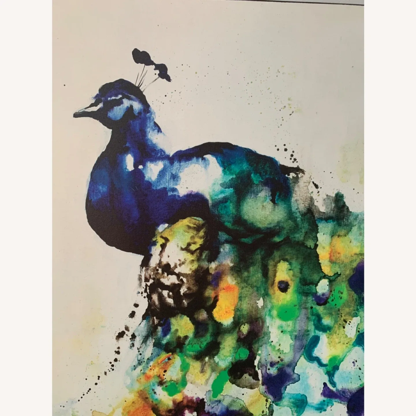 Peacock Print Wall Art image indicator(3)