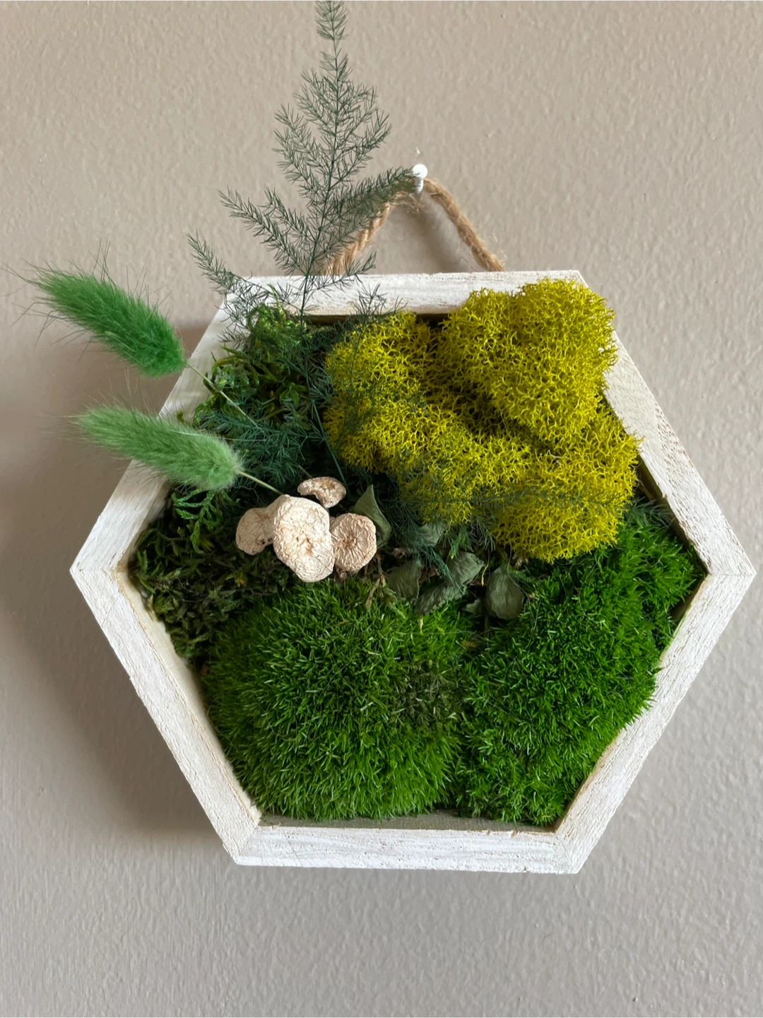Moss Wall Art in White Hexagon Frame