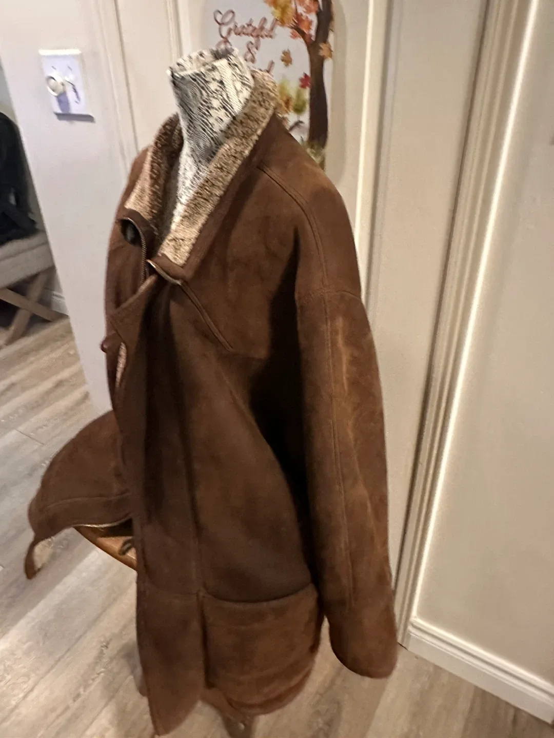 Brown Suede Jacket with Fur Collar image indicator(2)