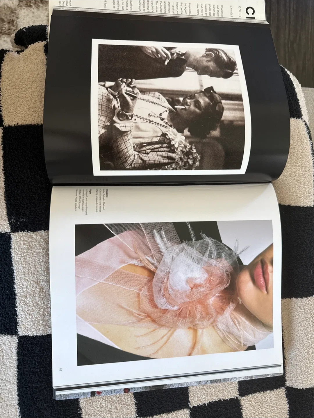 Chanel Collections and Creations Book image indicator(2)