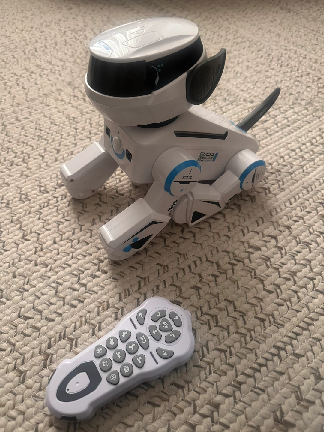 Robot Dog Toy with Remote