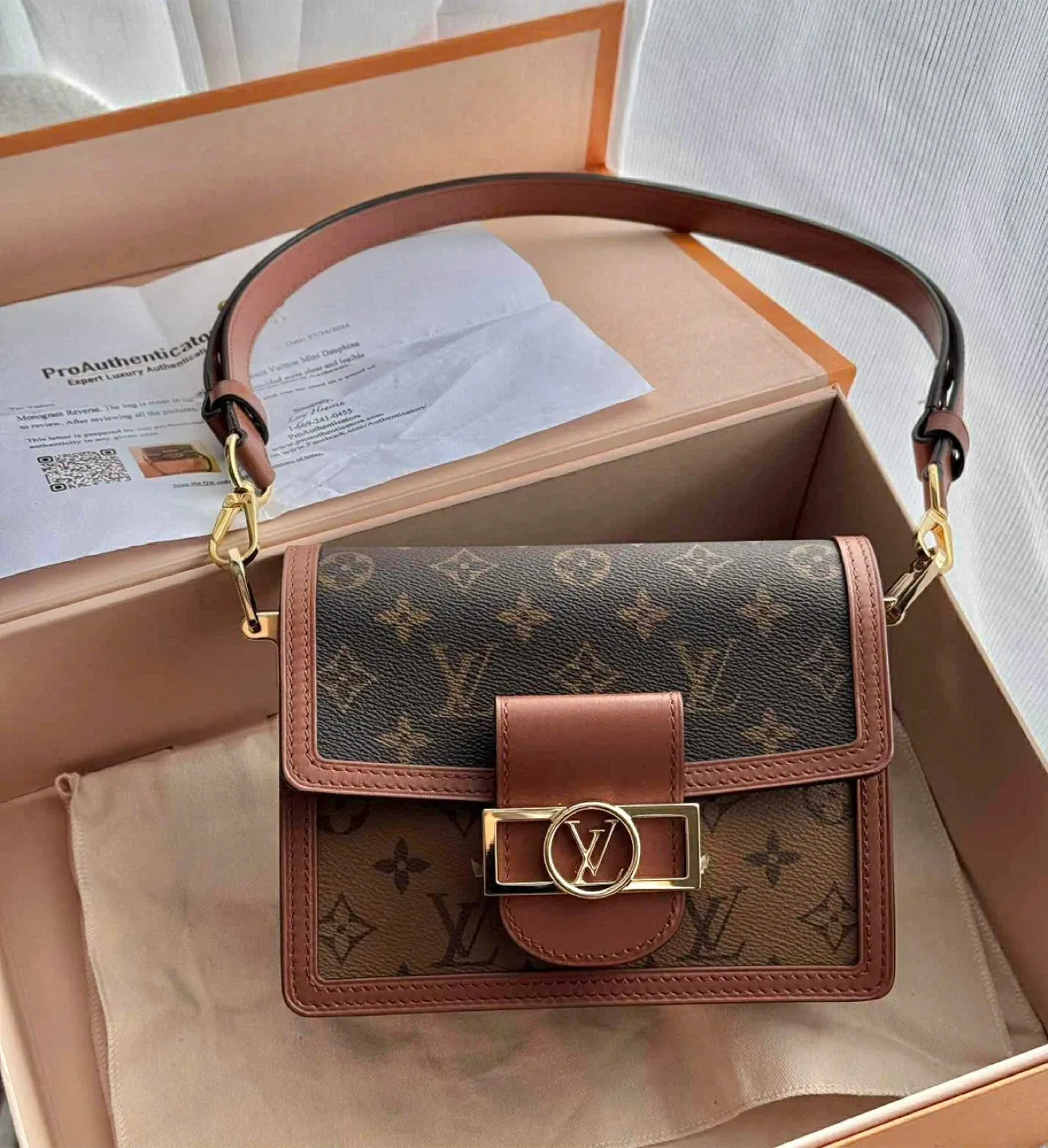 LV Mini Dauphine