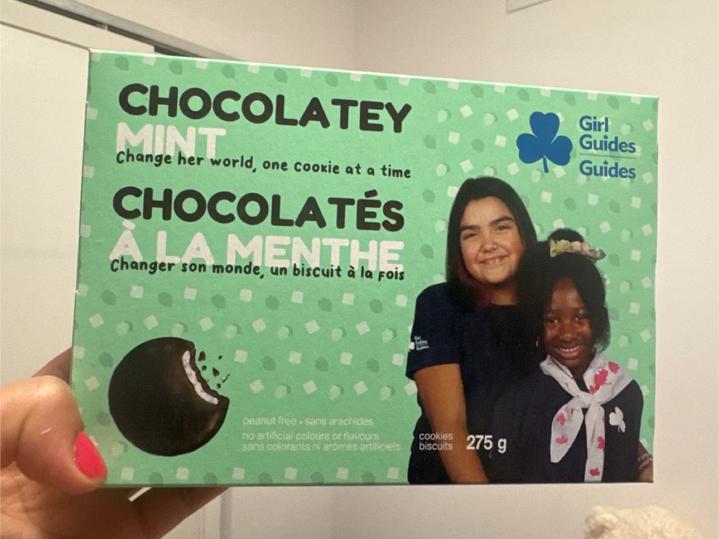 Girl Guides Chocolatey Mint Cookies