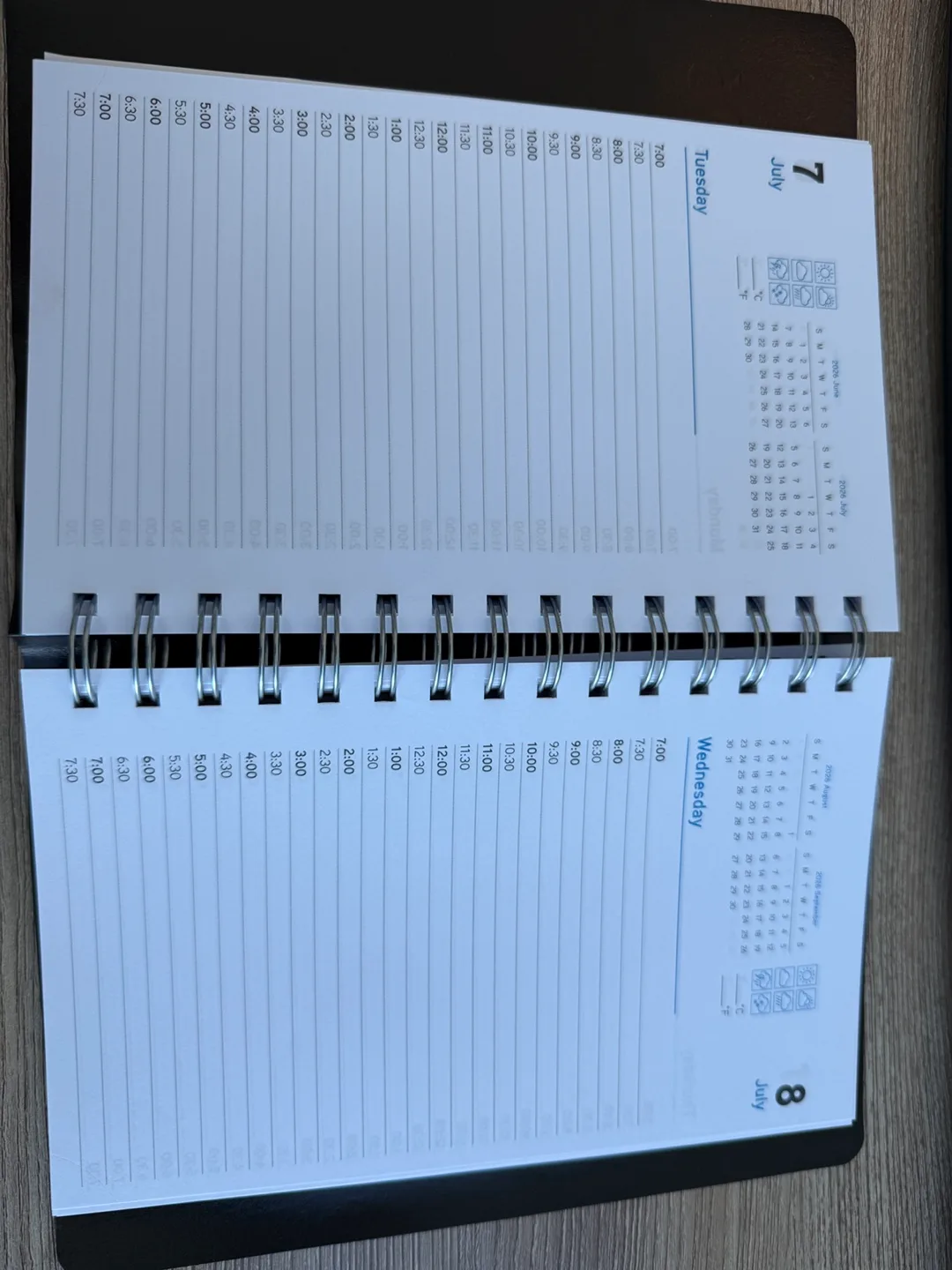 2026 Daily Planner image indicator(4)