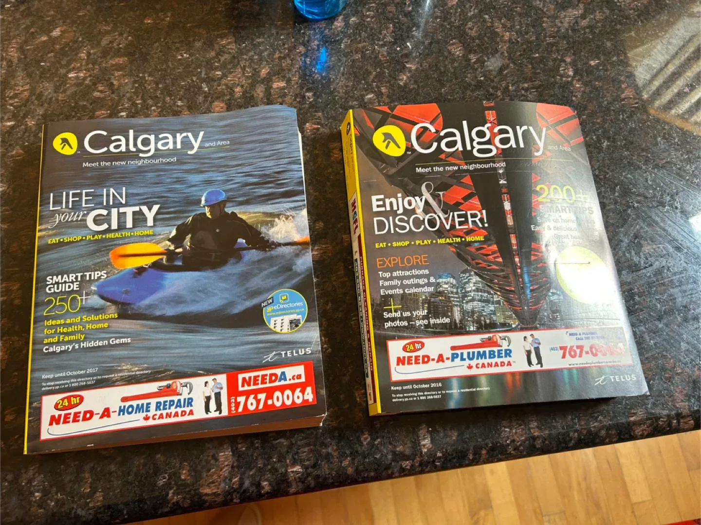 Calgary and Area Neighbourhood Guides thumbnail