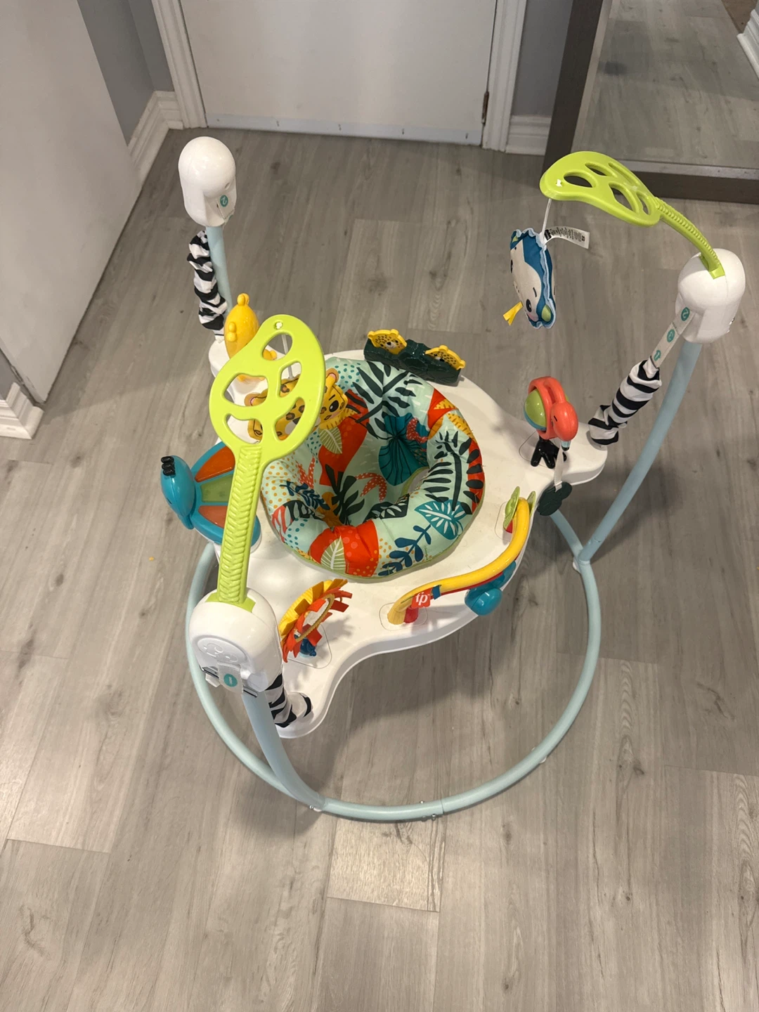 Baby Jumper