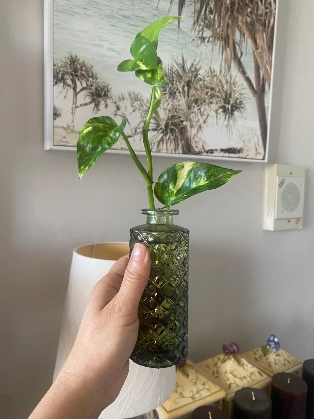 Green Glass Vase with Plant Cutting thumbnail