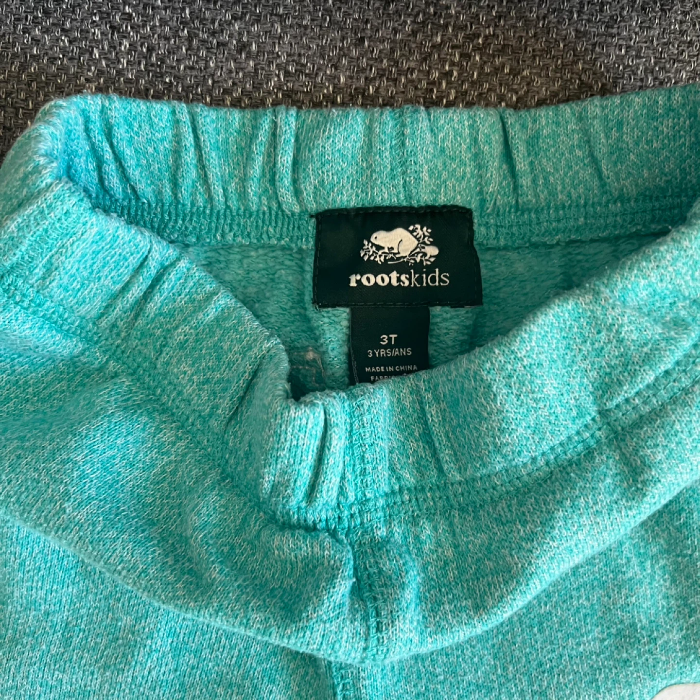 Roots Kids 3T Turquoise Sweatpants Joggers - photo 4