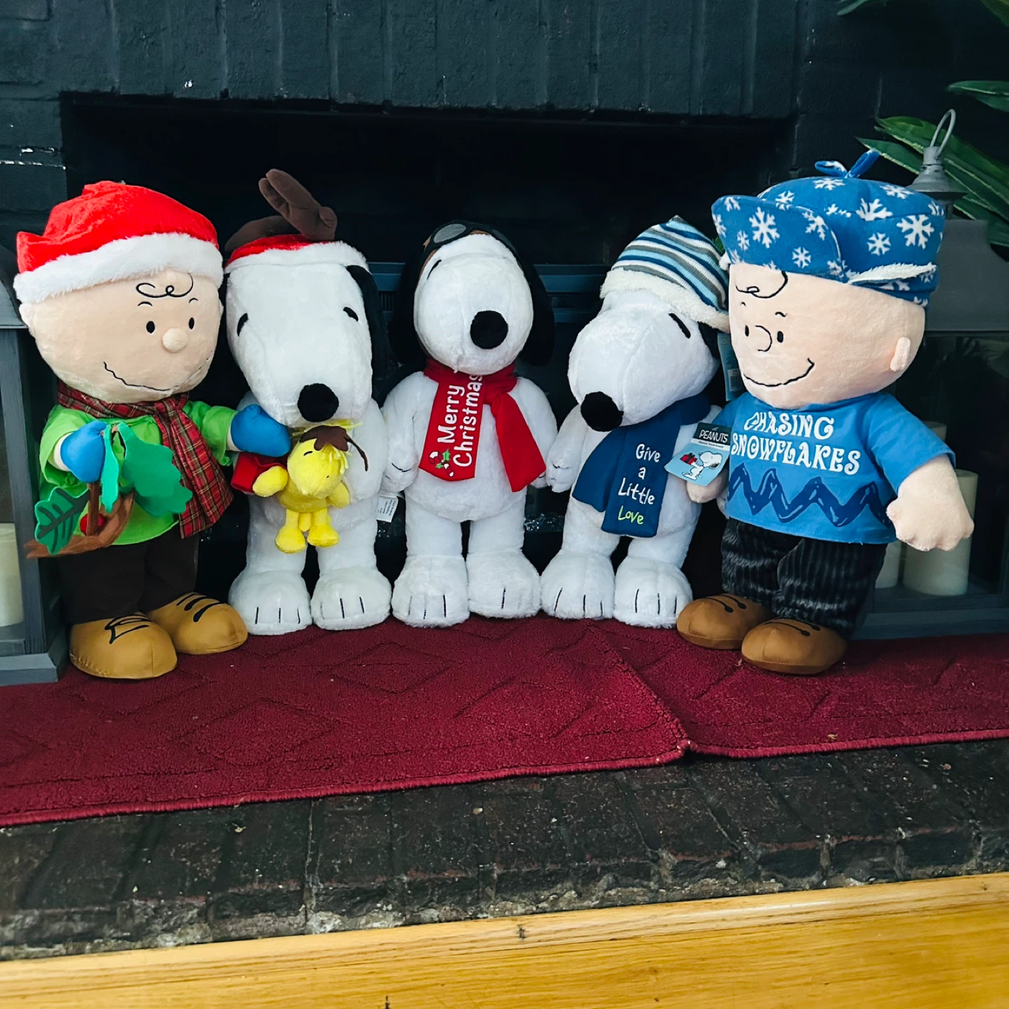 Peanuts Gang Plush Toys - Snoopy & Charlie Brown - photo 2