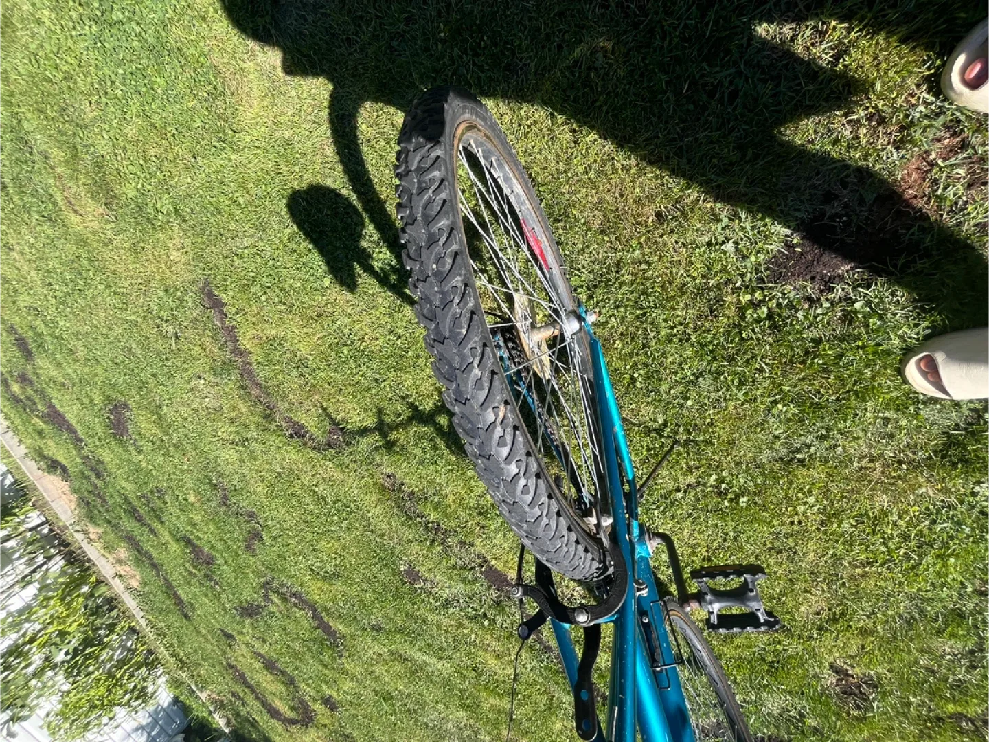 Dakota Mountain Bike - Blue image indicator(4)