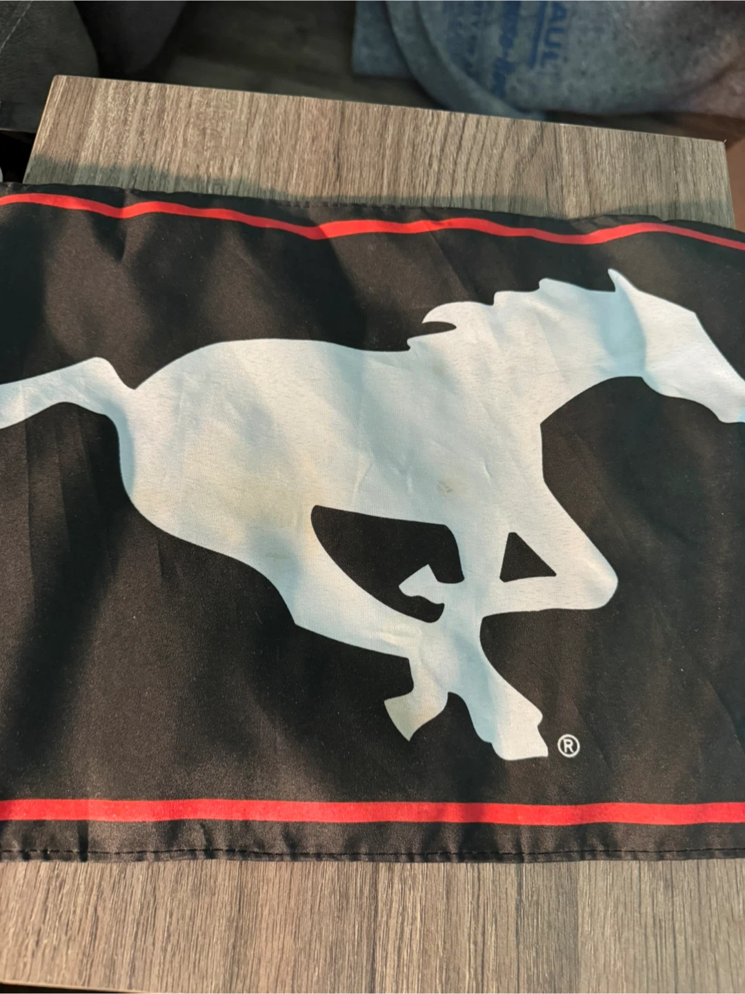 Sports Team Flags - Flames & Mustang - photo 2
