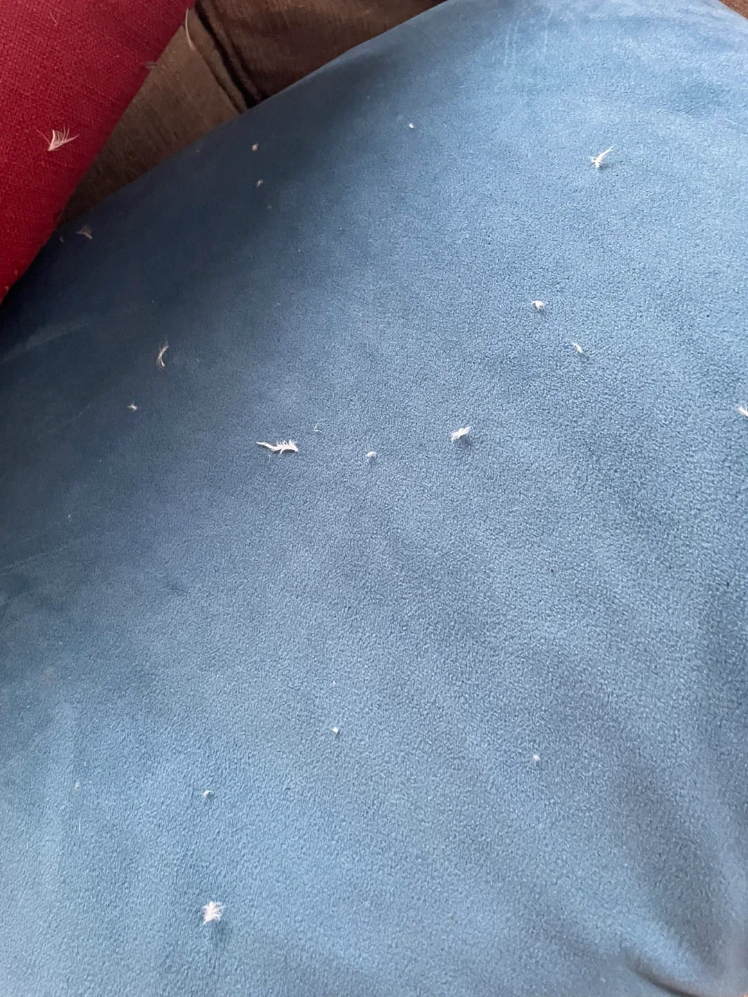 Two Decorative Throw Pillows image indicator(5)