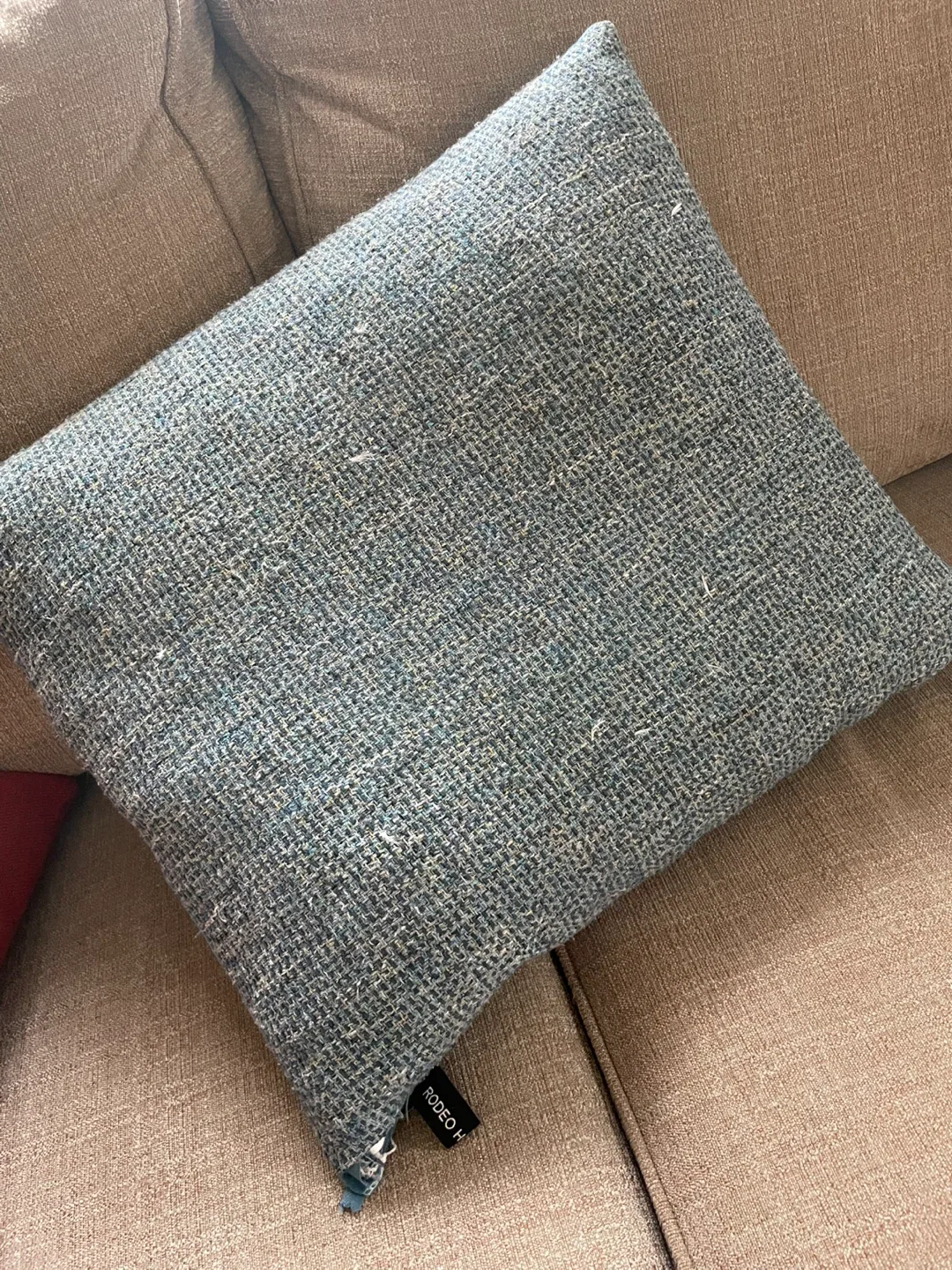 Two Decorative Throw Pillows image indicator(2)