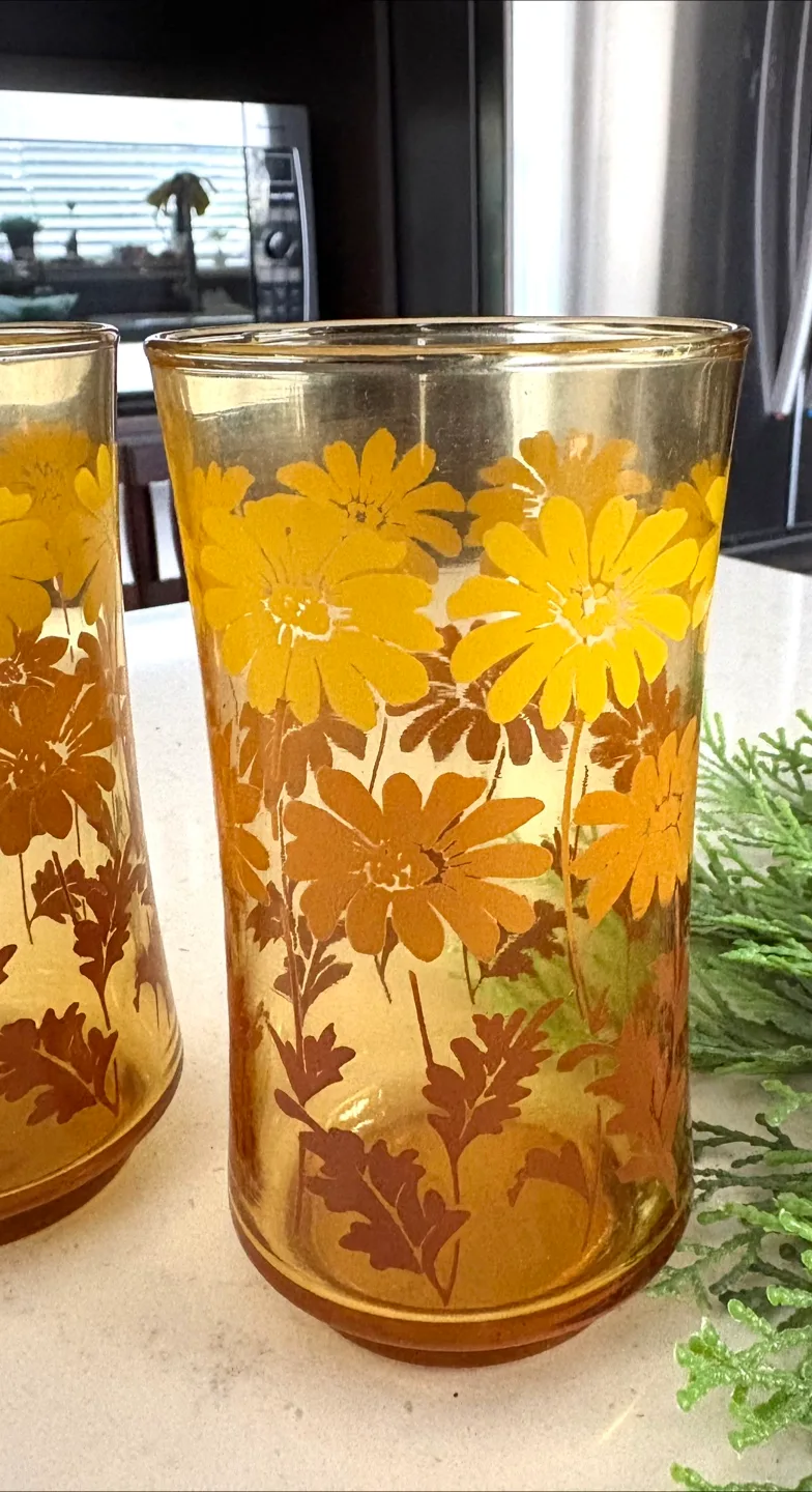 Vintage (1960s) Libbey Ombre Floral Drinking Glasses Set of 3 image indicator(4)