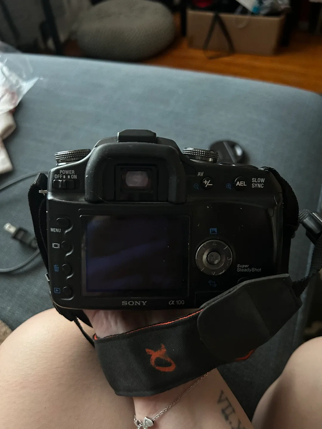 Sony Alpha a100 Digital SLR Camera image indicator(3)