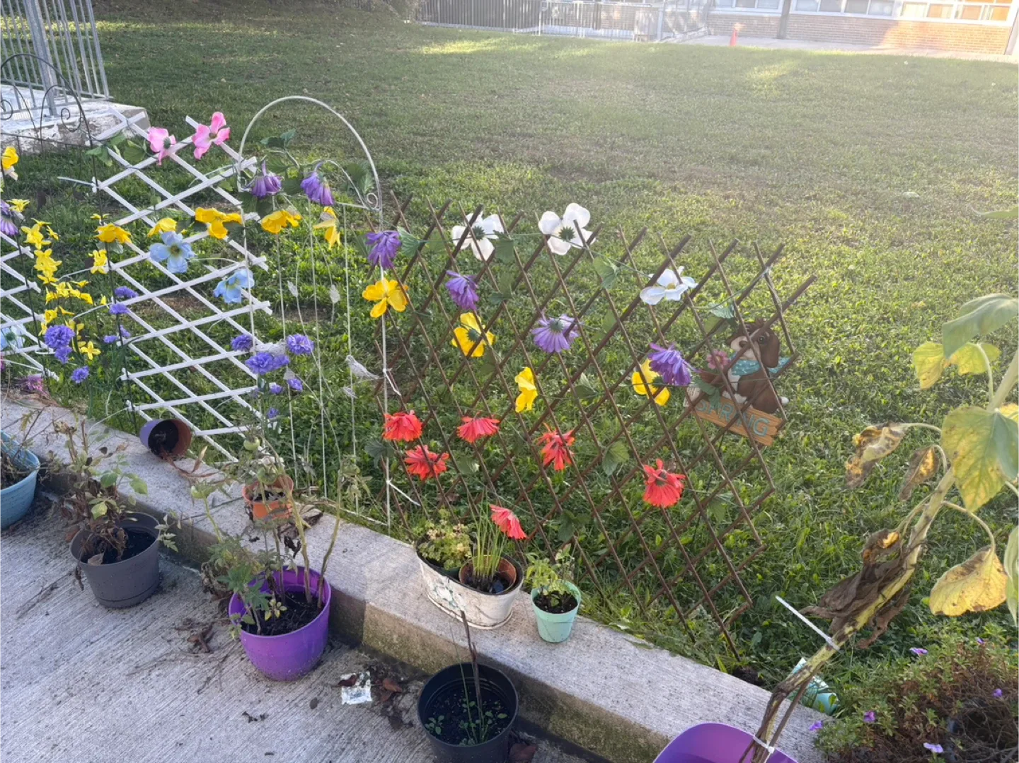 Flower pots and garden decor thumbnail