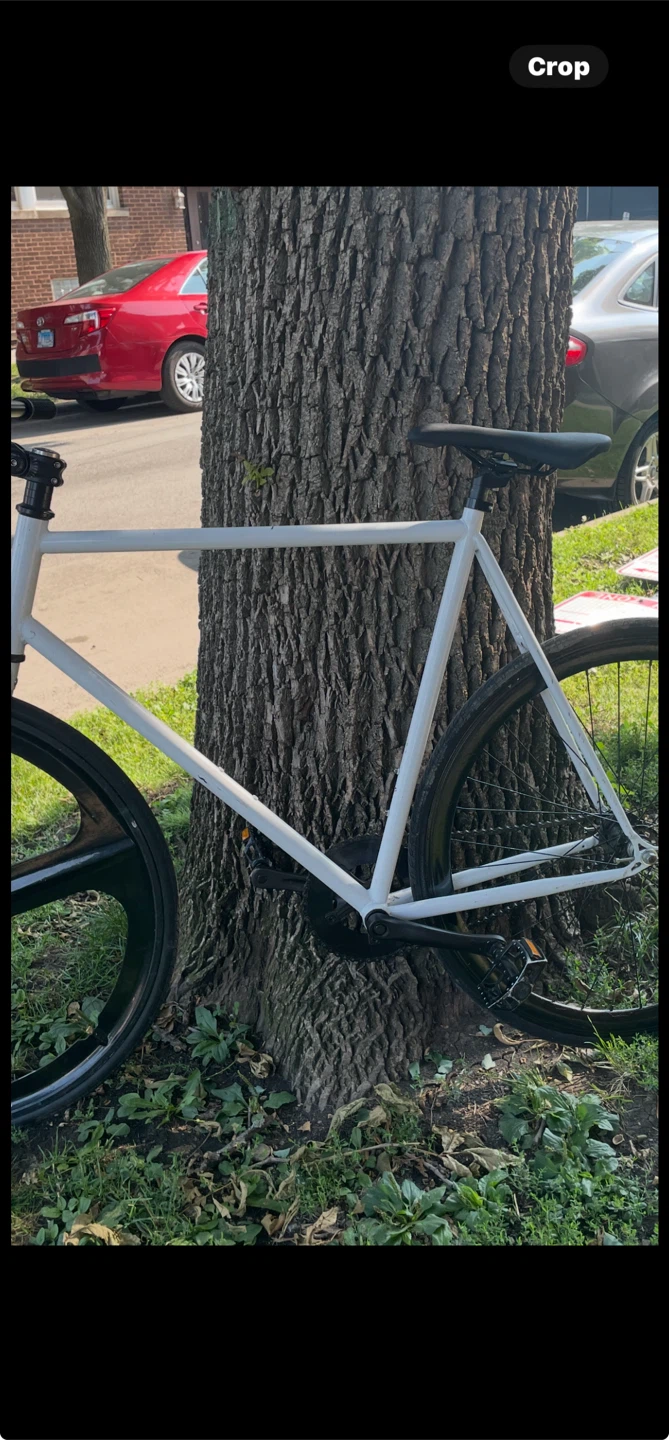 White Fixed Gear Bike